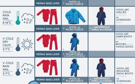 What to Wear Under a Sheer Dress: The Ultimate Layering Guide