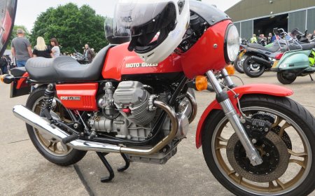 Gold Dress & Black Shoes: A Timeless Combination That Turns Heads