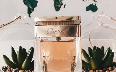 Lost in Paradise Perfume: A Scent That Captures Wanderlust