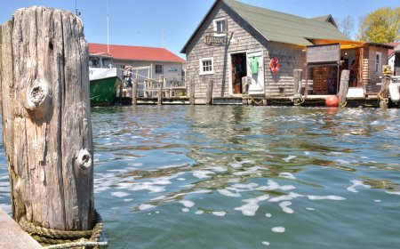 I Loathe My Husband: Relationship Struggles & How to Cope