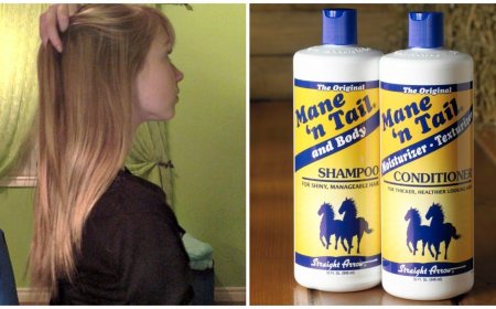 Will Mane and Tail Help Hair Grow? The Truth Behind the Cult-Favorite Formula