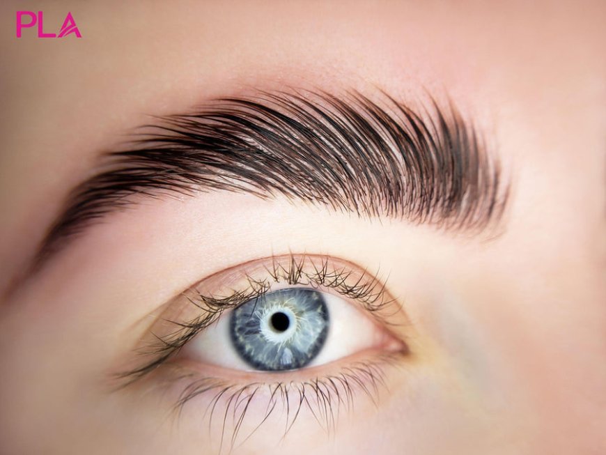 How Much Is Brow Lamination? Pricing & What to Expect