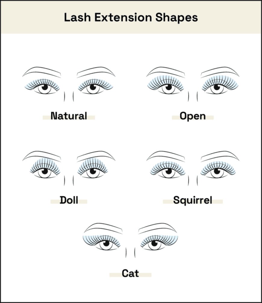 Types of Eyelash Extensions: A Visual Guide to Every Style